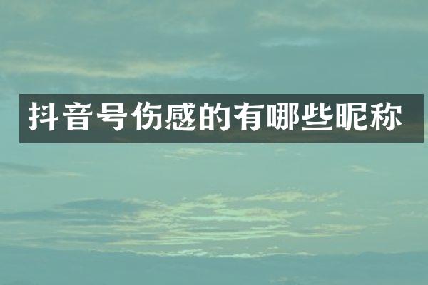 抖音号伤感的有哪些昵称