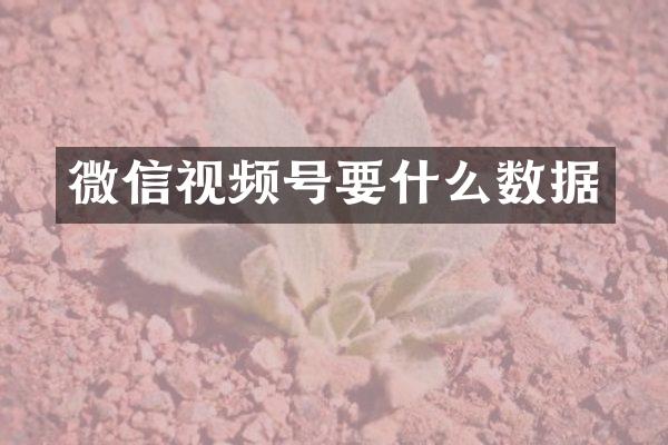 微信视频号要什么数据