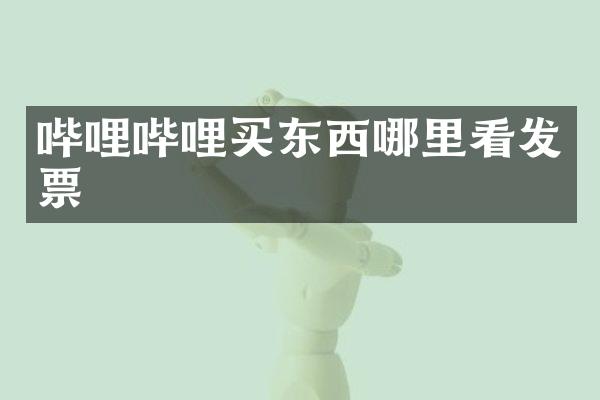 哔哩哔哩买东西哪里看发票
