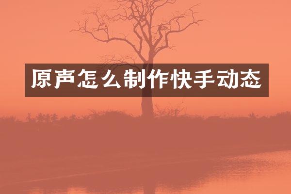 原声怎么制作快手动态