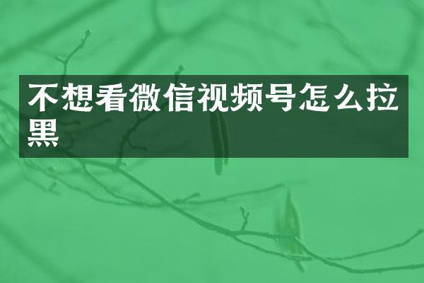 不想看微信视频号怎么拉黑