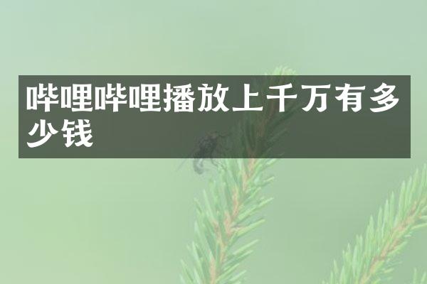 哔哩哔哩播放上千万有多少钱