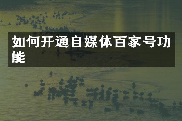 如何开通自媒体百家号功能