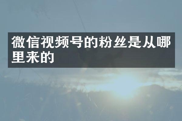 微信视频号的粉丝是从哪里来的