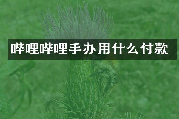 哔哩哔哩手办用什么付款