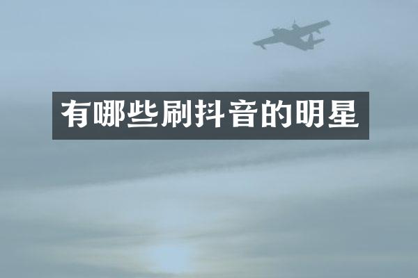 有哪些刷抖音的明星