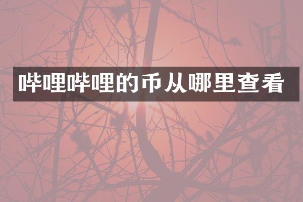 哔哩哔哩的币从哪里查看