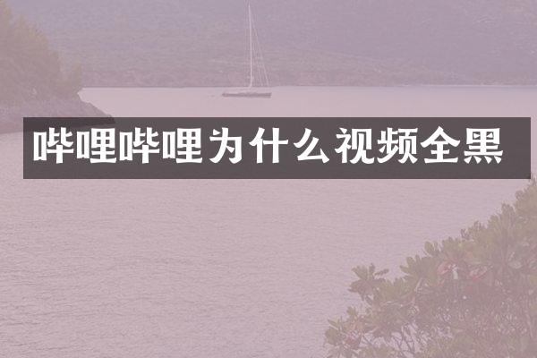 哔哩哔哩为什么视频全黑