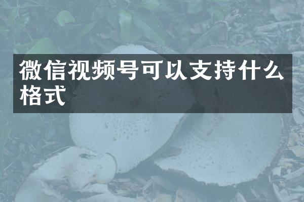 微信视频号可以支持什么格式