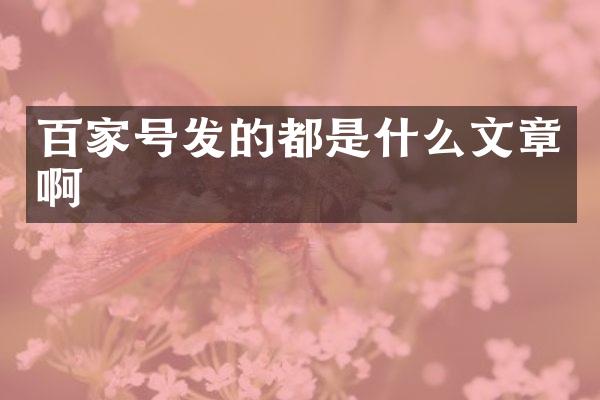 百家号发的都是什么文章啊