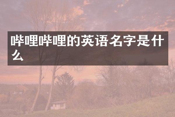哔哩哔哩的英语名字是什么