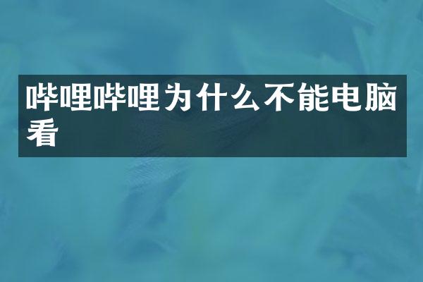 哔哩哔哩为什么不能电脑看