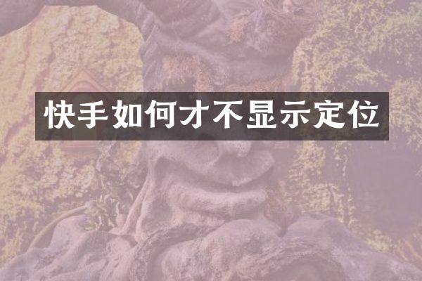 快手如何才不显示定位
