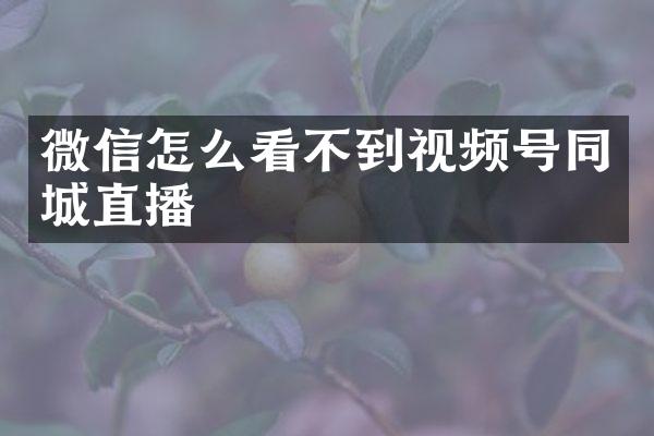 微信怎么看不到视频号同城直播