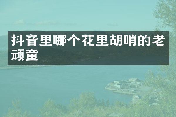 抖音里哪个花里胡哨的老顽童