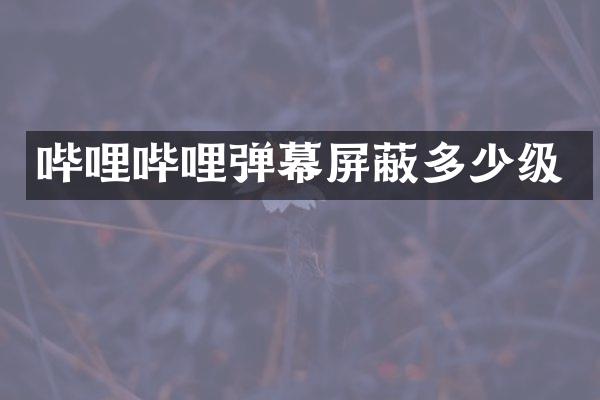 哔哩哔哩弹幕屏蔽多少级