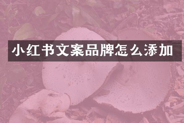 小红书文案品牌怎么添加