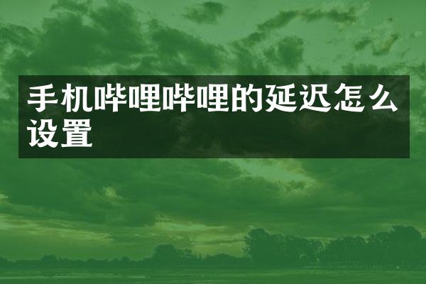 手机哔哩哔哩的延迟怎么设置