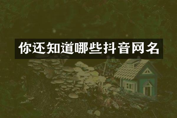 你还知道哪些抖音网名