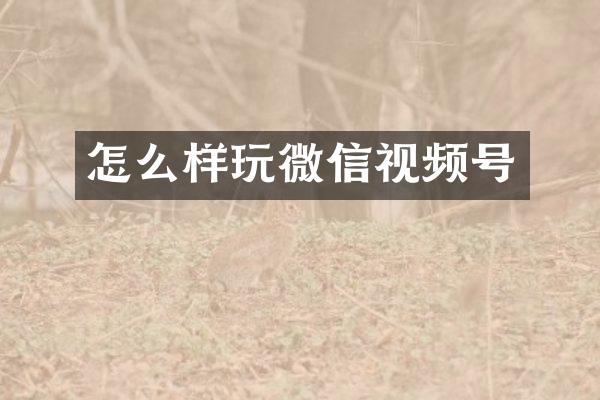 怎么样玩微信视频号