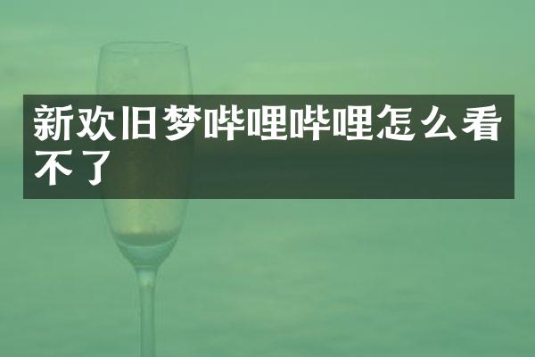 新欢旧梦哔哩哔哩怎么看不了