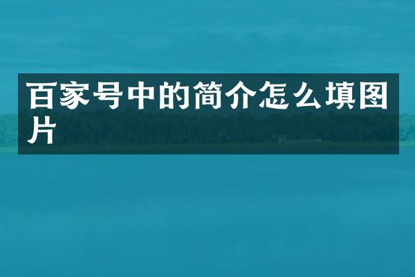 百家号中的简介怎么填图片