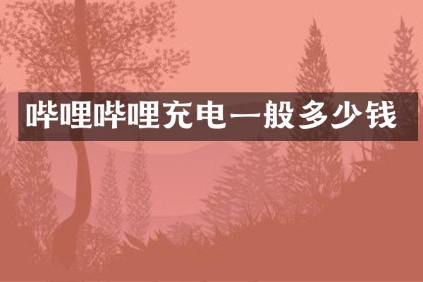 哔哩哔哩充电一般多少钱
