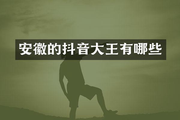 安徽的抖音大王有哪些