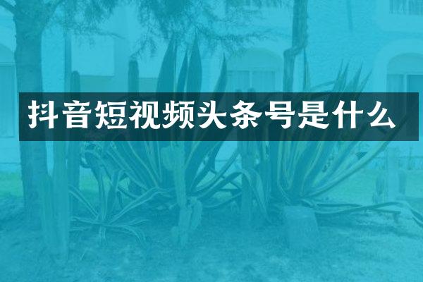 抖音短视频头条号是什么