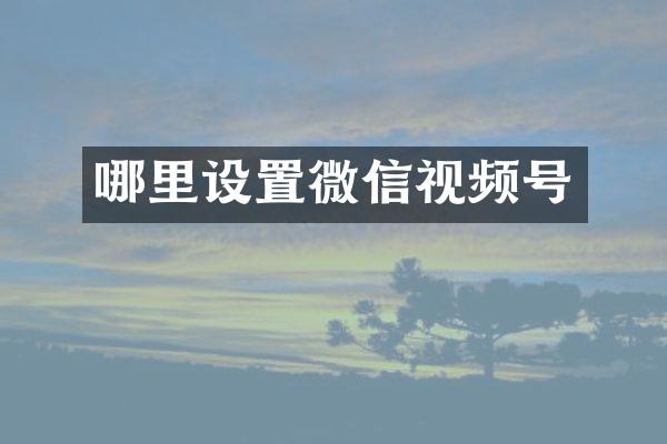 哪里设置微信视频号