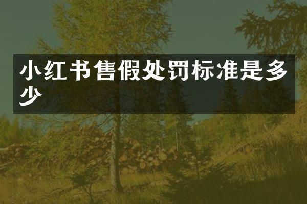 小红书处罚标准是多少