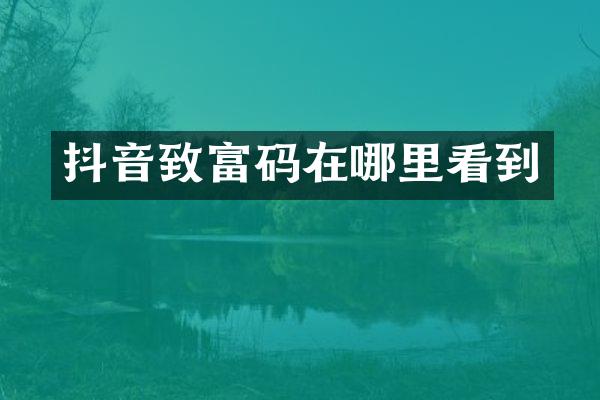 抖音致富码在哪里看到