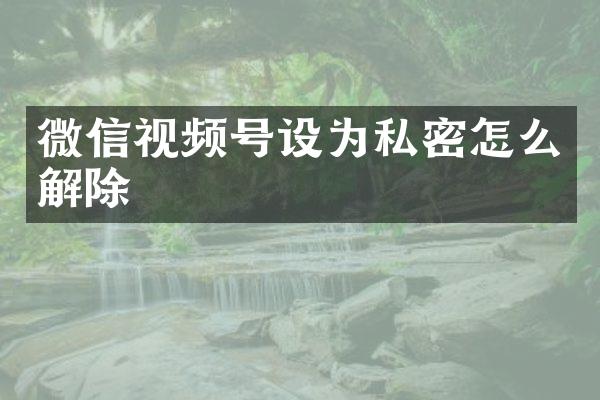 微信视频号设为私密怎么解除
