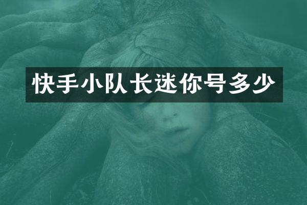 快手小队长迷你号多少