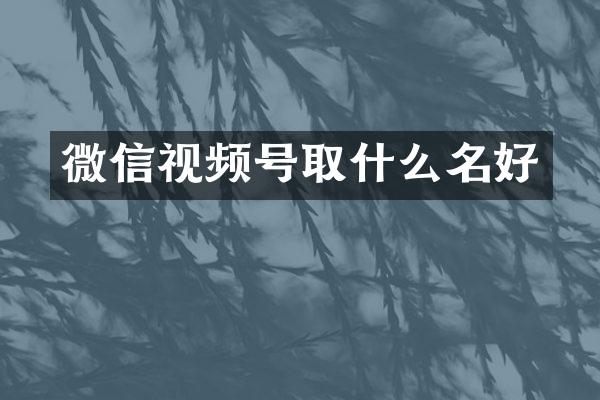 微信视频号取什么名好