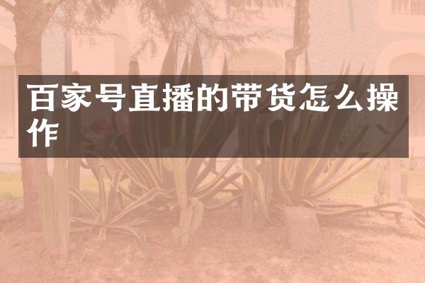 百家号直播的带货怎么操作