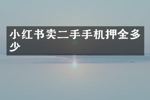 小红书卖二手手机押金多少