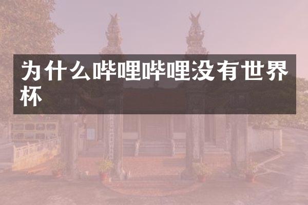 为什么哔哩哔哩没有世界杯