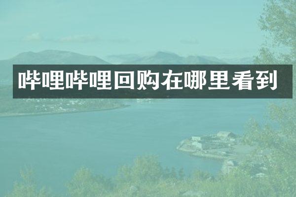 哔哩哔哩回购在哪里看到