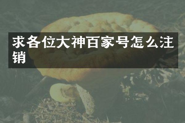 求各位大神百家号怎么注销