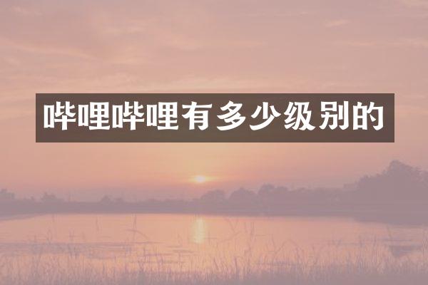 哔哩哔哩有多少级别的