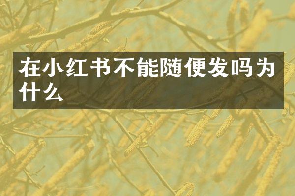 在小红书不能随便发吗为什么