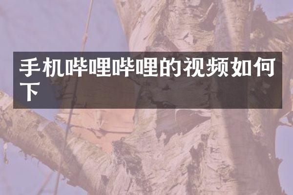 手机哔哩哔哩的视频如何下