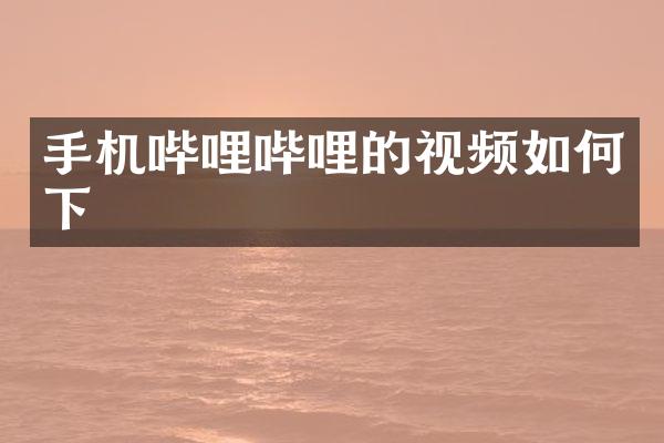 手机哔哩哔哩的视频如何下