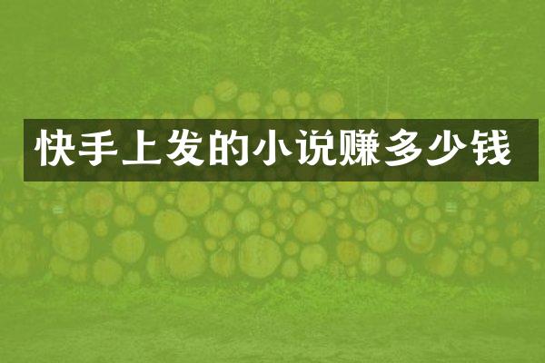 快手上发的小说赚多少钱