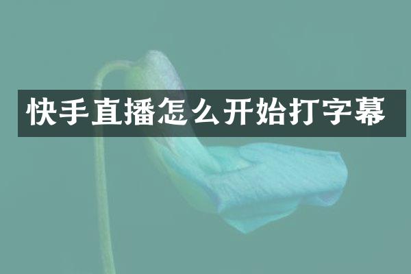 快手直播怎么开始打字幕