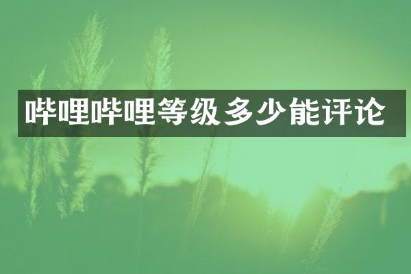 哔哩哔哩等级多少能评论