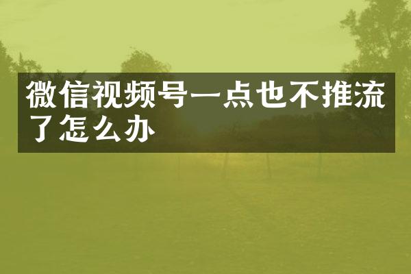 微信视频号一点也不推流了怎么办