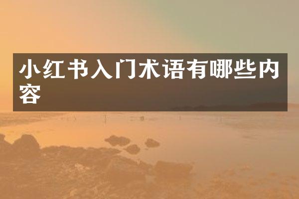 小红书入门术语有哪些内容