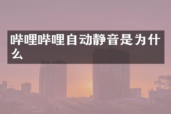 哔哩哔哩自动静音是为什么